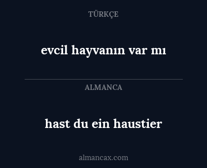 evcil hayvanın var mı - hast du ein haustier