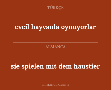 evcil hayvanla oynuyorlar - sie spielen mit dem haustier