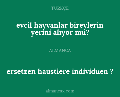 ersetzen haustiere individuen ? - evcil hayvanlar bireylerin yerini alıyor mu?