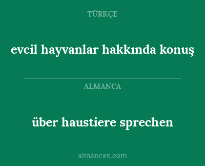 evcil hayvanlar hakkında konuş - über haustiere sprechen