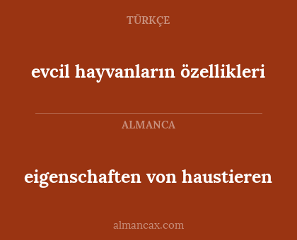 evcil hayvanların özellikleri - eigenschaften von haustieren