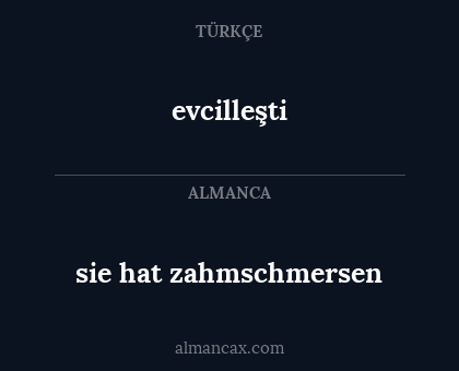 evcilleşti - sie hat zahmschmersen