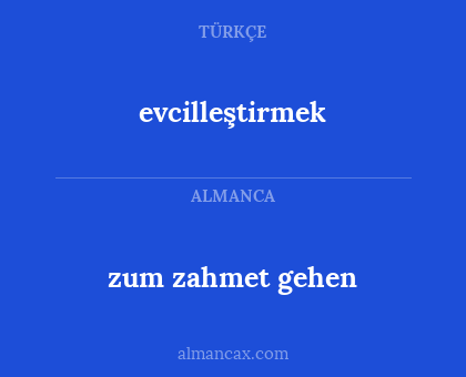 zum zahmet gehen - evcilleştirmek