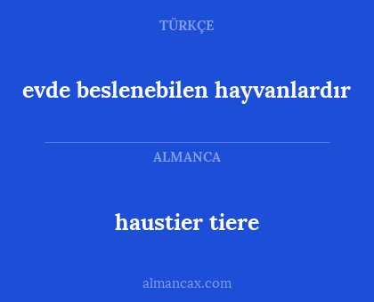evde beslenebilen hayvanlardır - haustier tiere
