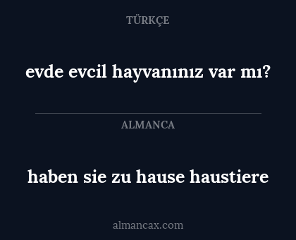 evde evcil hayvanınız var mı? - haben sie zu hause haustiere