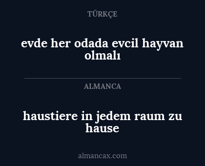 haustiere in jedem raum zu hause - evde her odada evcil hayvan olmalı