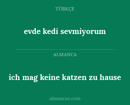 ich mag keine katzen zu hause - evde kedi sevmiyorum