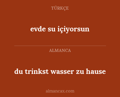du trinkst wasser zu hause - evde su içiyorsun