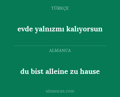 du bist alleine zu hause - evde yalnızmı kalıyorsun