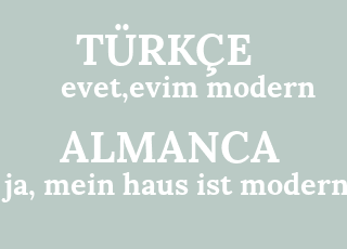 evet%2Cevim+modern-ja%2C+mein+haus+ist+modern.png