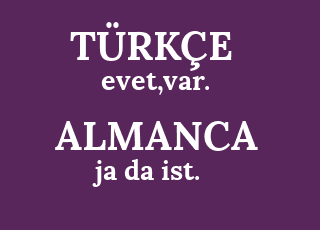 evet%2Cvar.-ja+da+ist..png