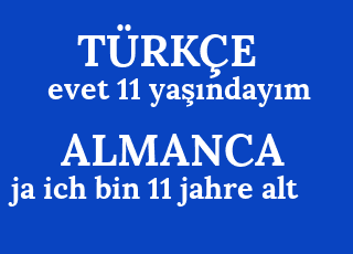 evet+11+ya%C5%9F%C4%B1nday%C4%B1m-ja+ich+bin+11+jahre+alt.png