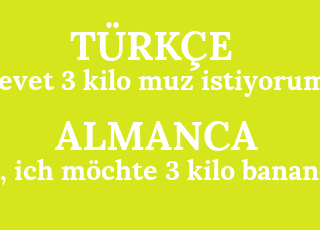 evet+3+kilo+muz+istiyorum-ja%2C+ich+m%C3%B6chte+3+kilo+banane.png