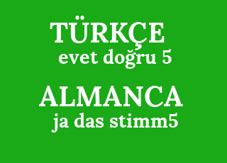 evet+do%C4%9Fru+5-ja+das+stimm5.png