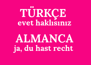 evet+hakl%C4%B1s%C4%B1n%C4%B1z-ja%2C+du+hast+recht.png