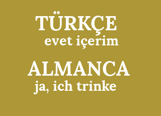 yes+i%C3%A7erim-ja%2C+ich+trinke.png