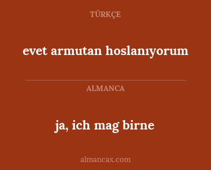 ja, ich mag birne - evet armutan hoslanıyorum