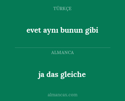 ja das gleiche - evet aynı bunun gibi