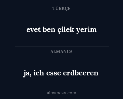 ja, ich esse erdbeeren - evet ben çilek yerim