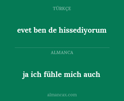 evet ben de hissediyorum - ja ich fühle mich auch