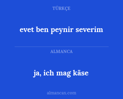 evet ben peynir severim - ja, ich mag käse