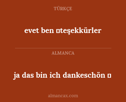 ja das bin ich dankeschön ❣ - evet ben ❣teşekkürler
