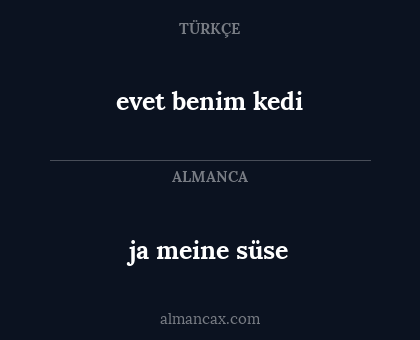 ja meine süse - evet benim kedi