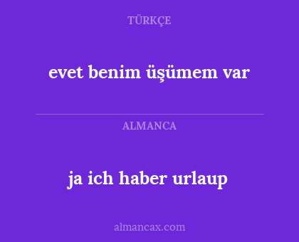 evet benim üşümem var - ja ich haber urlaup