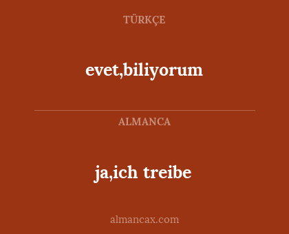 evet,biliyorum - ja,ich treibe