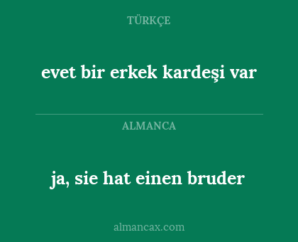 ja, sie hat einen bruder - evet bir erkek kardeşi var