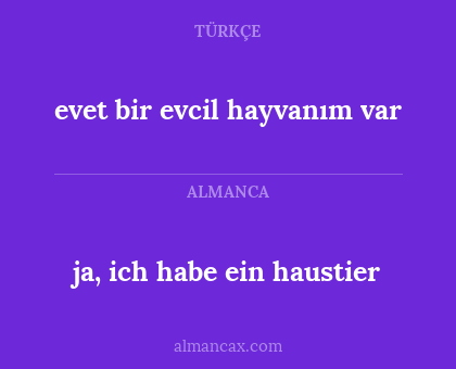 ja, ich habe ein haustier - evet bir evcil hayvanım var