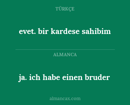 ja. ich habe einen bruder - evet. bir kardese sahibim