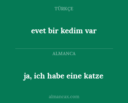 ja, ich habe eine katze - evet bir kedim var