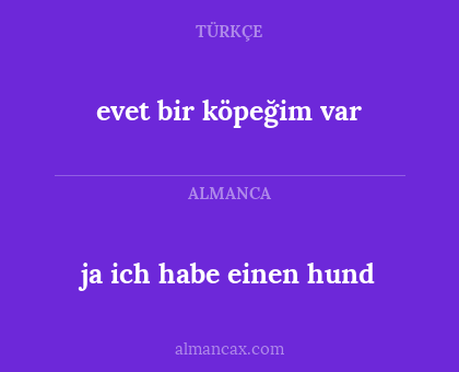 evet bir köpeğim var - ja ich habe einen hund