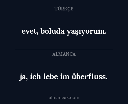 ja, ich lebe im überfluss. - evet, boluda yaşıyorum.