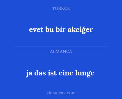 evet bu bir akciğer - ja das ist eine lunge