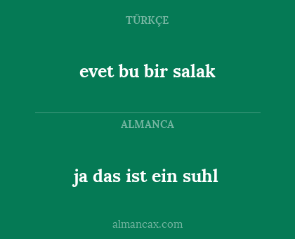 ja das ist ein suhl - evet bu bir salak