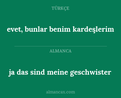 evet, bunlar benim kardeşlerim - ja das sind meine geschwister