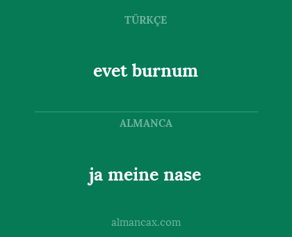 evet burnum - ja meine nase