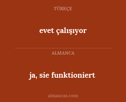 ja, sie funktioniert - evet çalışıyor