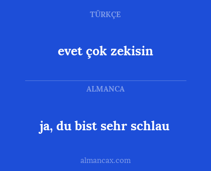 ja, du bist sehr schlau - evet çok zekisin