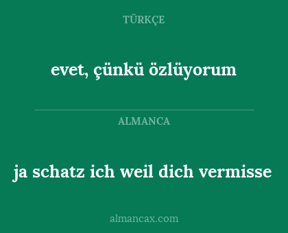 ja schatz ich weil dich vermisse - evet, çünkü özlüyorum