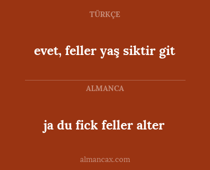 evet, feller yaş siktir git - ja du fick feller alter