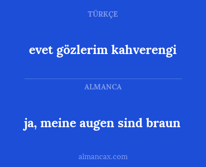 ja, meine augen sind braun - evet gözlerim kahverengi