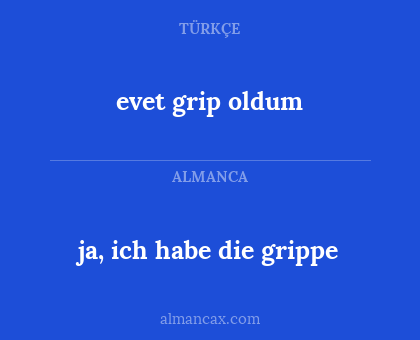 evet grip oldum - ja, ich habe die grippe