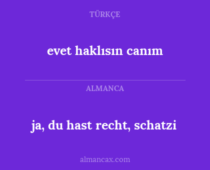 ja, du hast recht, schatzi - evet haklısın canım