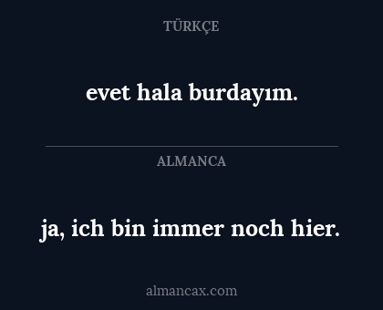 ja, ich bin immer noch hier. - evet hala burdayım.
