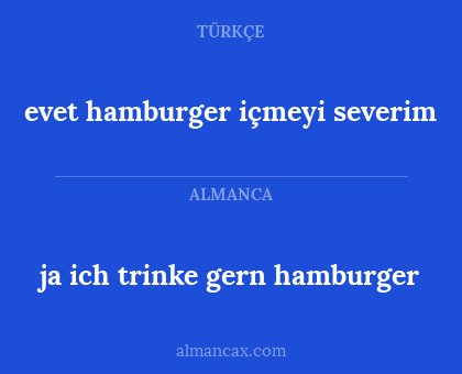 ja ich trinke gern hamburger - evet hamburger içmeyi severim