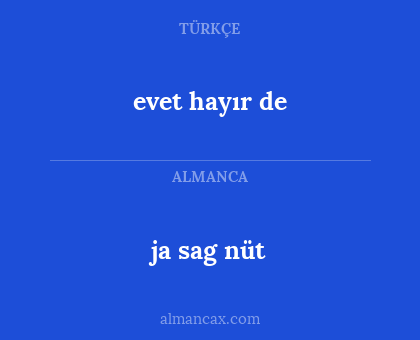ja sag nüt - evet hayır de