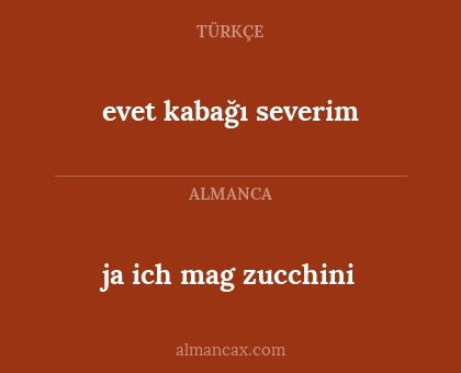 ja ich mag zucchini - evet kabağı severim